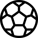 金联亮